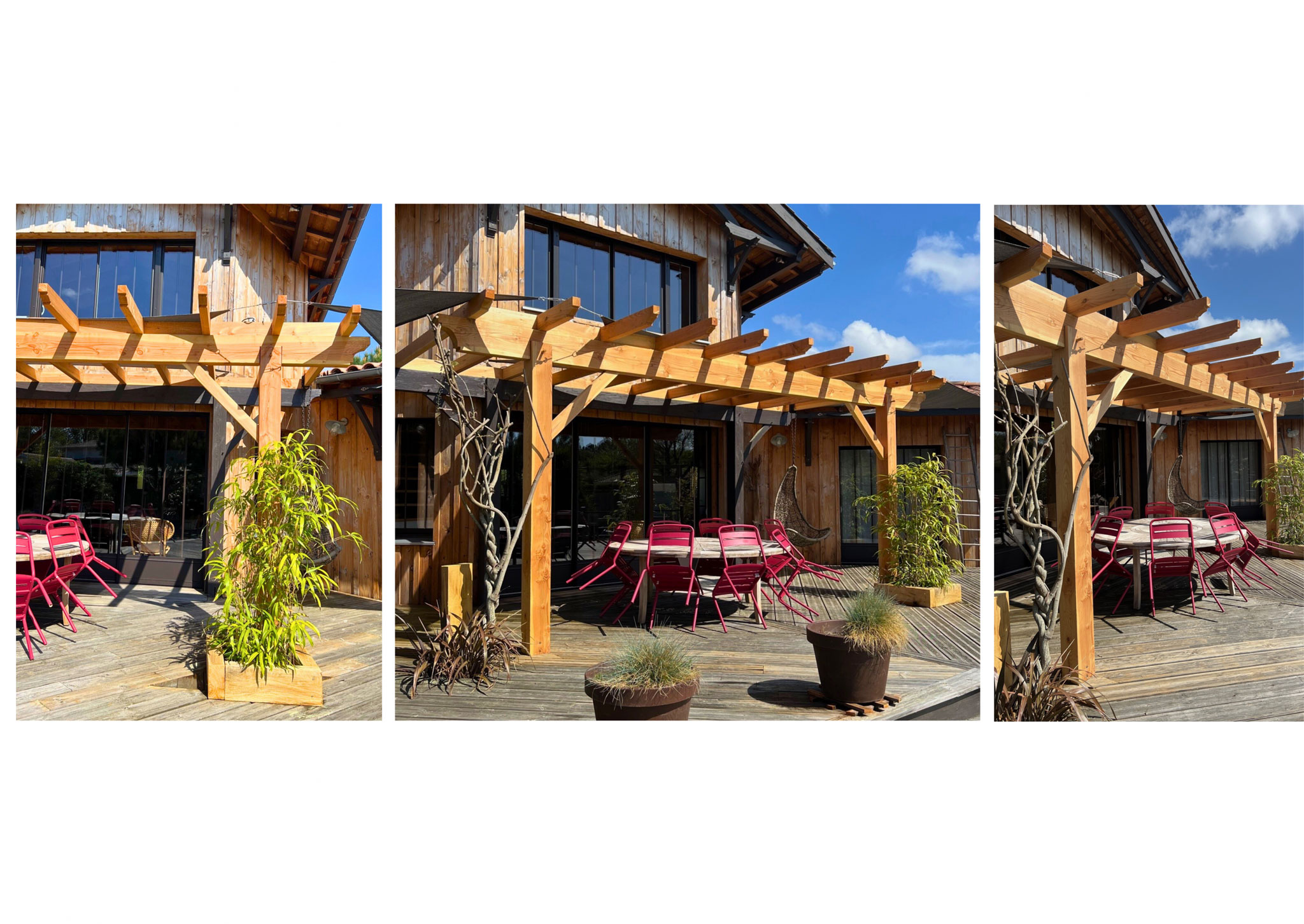pergola en douglas