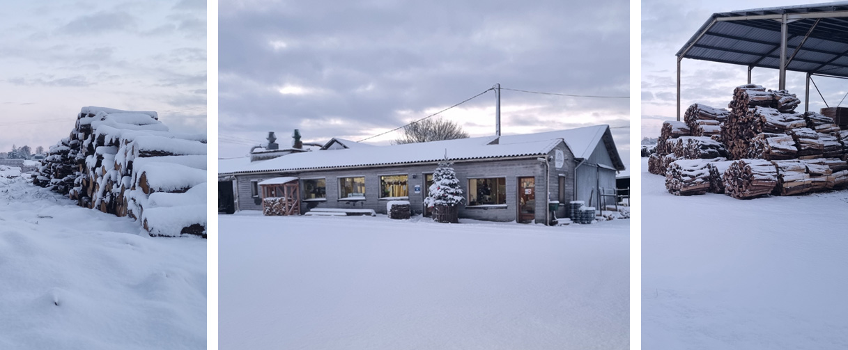Saintonge Bois sous la neige